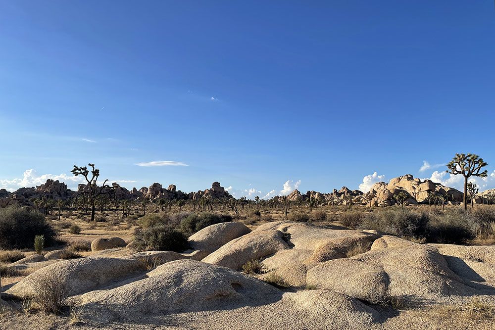 Boulders in het Joshua Tree NP