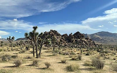 Wandelplezier in het Joshua Tree National Park