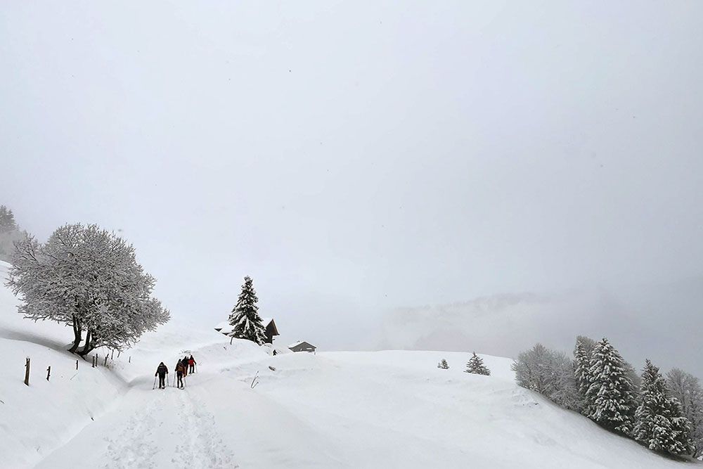 Sneeuwschoenwandeling in de Val d'Arly