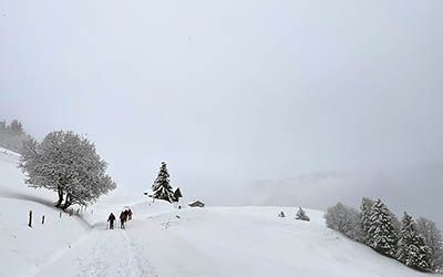 Sprookjesachtige sneeuwschoenwandeling door de Val d’Arly