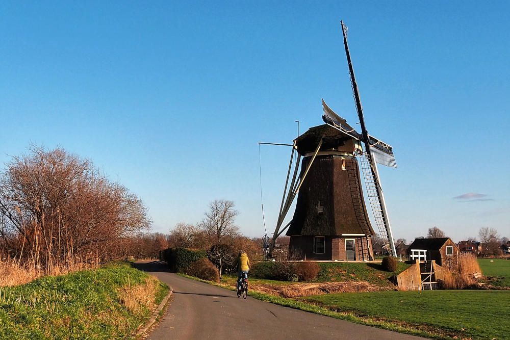Fietsers in landgoed Den Treek