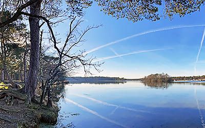 Wandelen bij de Vughtse Lunetten: water, bos, heide en historie