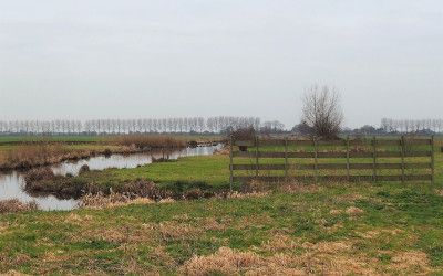 Trage Tocht Wilnis door Hollands veenlandschap