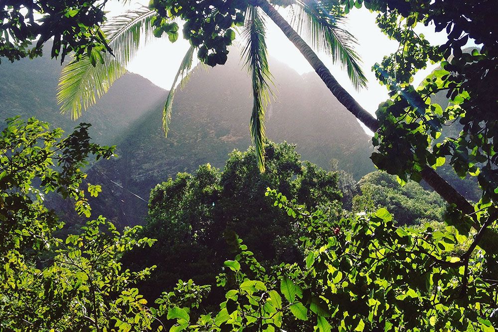 Iao vallei