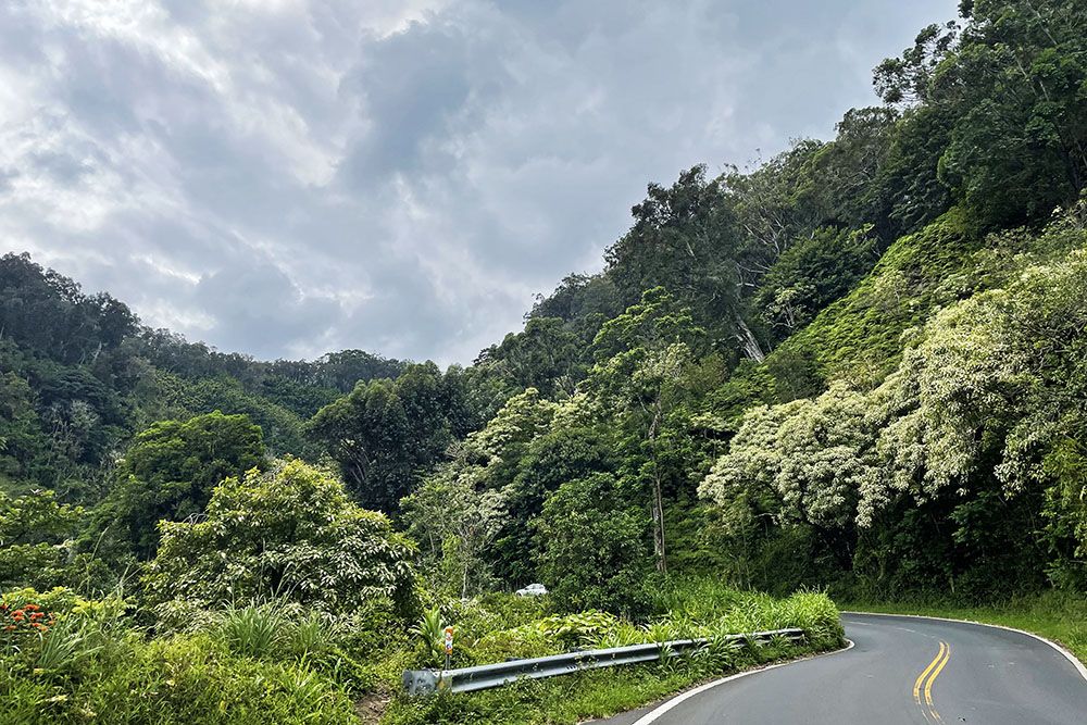 Road to Hana