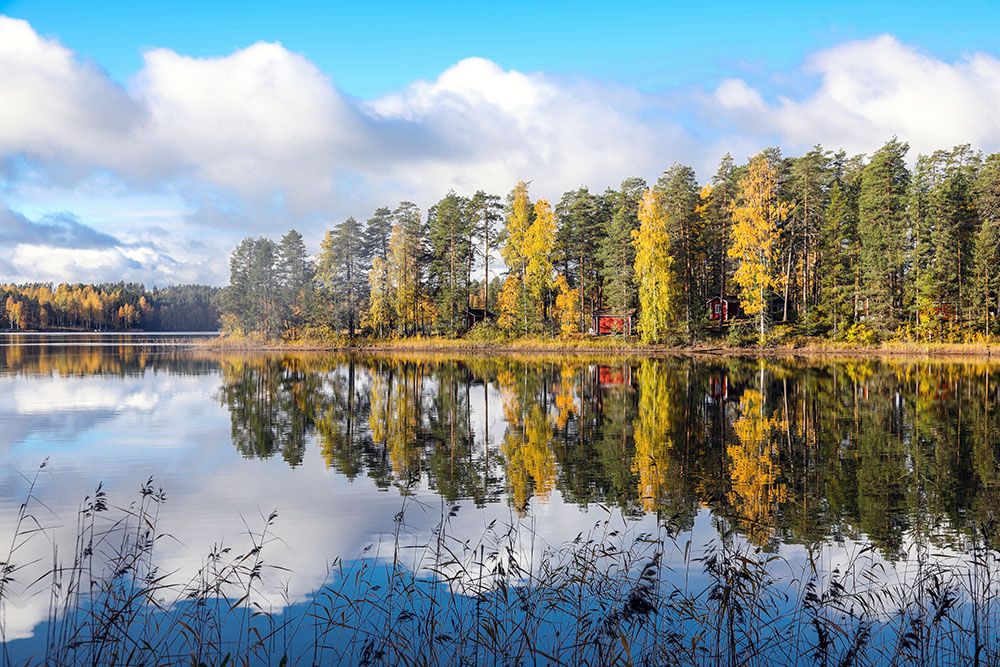 Punkaharjusyksy