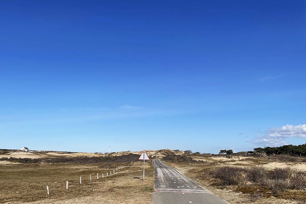 De duinen bij Noordwijk