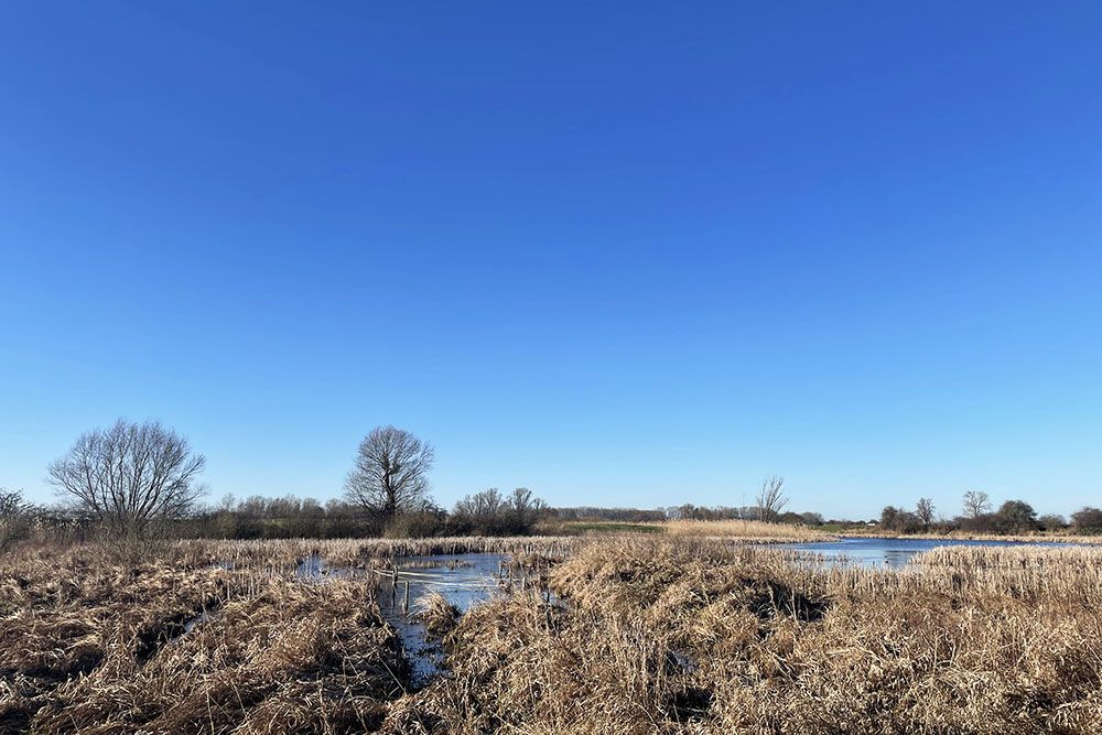 Grote Gelderse Waard