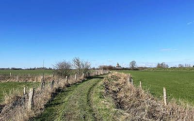 Prachtige wandeling over het Rijnstrangenpad bij Oud Zevenaar