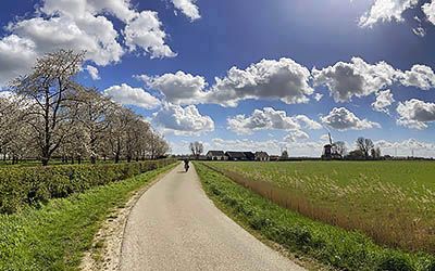 Fruitige fietsroute in de Betuwe