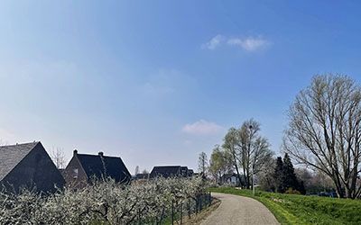 Bloesemrijke Groene Wissel bij Geldermalsen