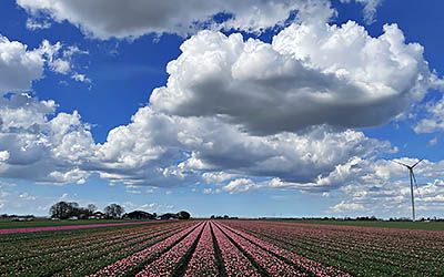 De Ronde van Biddinghuizen in het tulpenseizoen