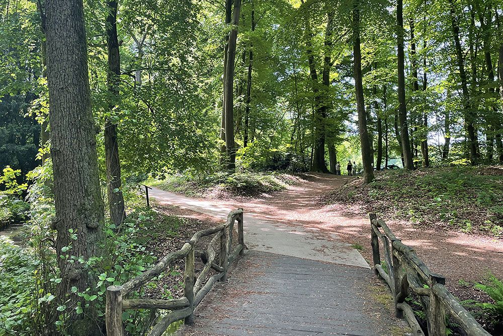 Fietspad door het bos