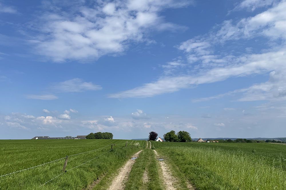 Glooiend weiland laatste deel van de wandeling