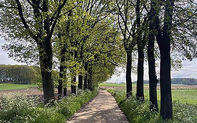 Schitterende bevrijdingswandeling bij Groesbeek