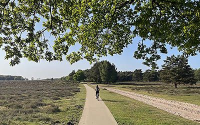 Bosrijke fietstocht bij Planken Wambuis