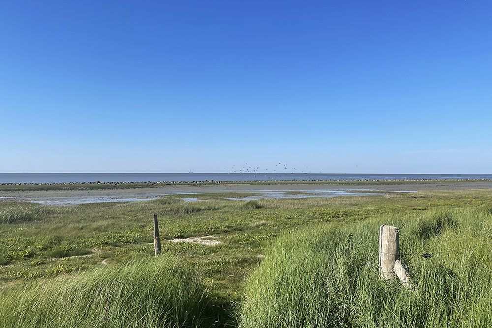 Buitendijks aan het wad