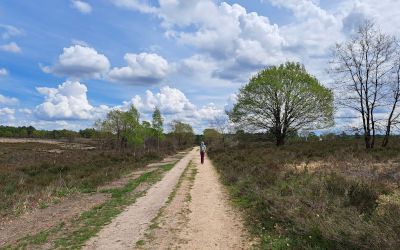 Ongekende wandelmogelijkheden in Nationaal Park Hoge Kempen