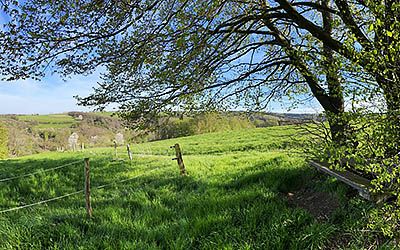 Wandelen langs Tweede Wereldoorlog herdenkingsplekken in de Eifel