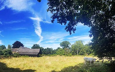 Natuurrijke wandeling bij het historische Mill