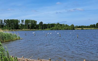 Fraaie wandeling bij natuurgebied Vlietland en Starrevaart