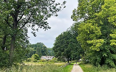 Fietsroute langs heide, bossen en de historische Grebbelinie