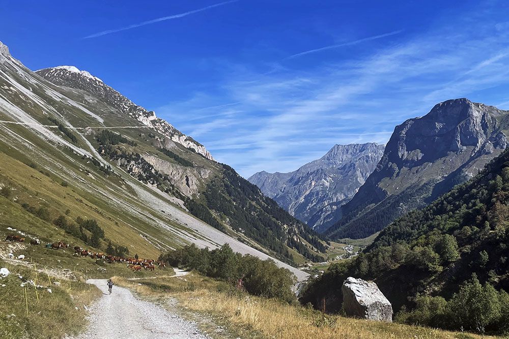 Mountainbiken in Savoie Mont Blanc