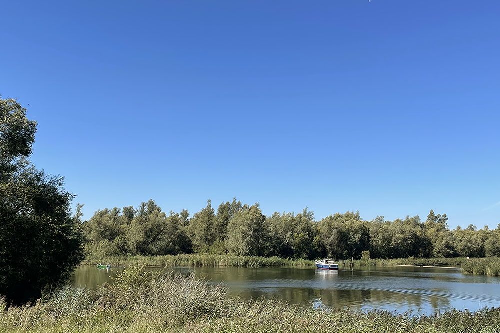 Biesbosch