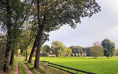 Zomerse herfstwandeling bij Brummen