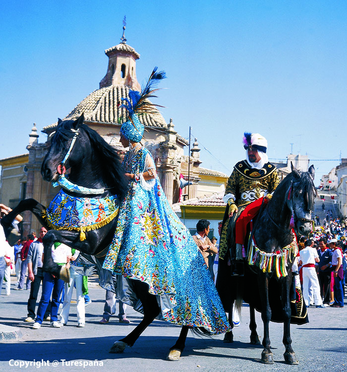 Caballos del vino