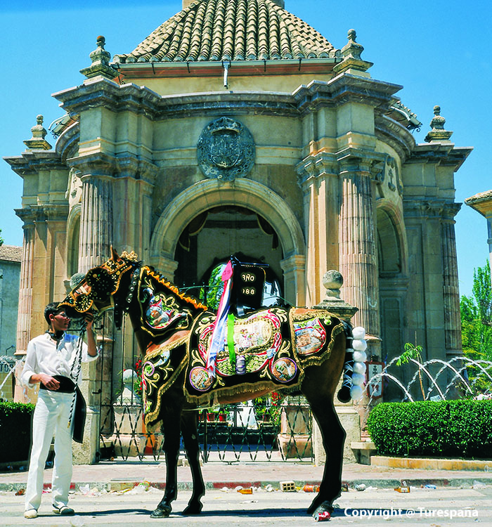 Caballos del vino