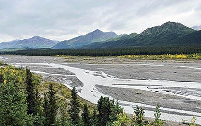 Denali National Park: topattractie van Alaska