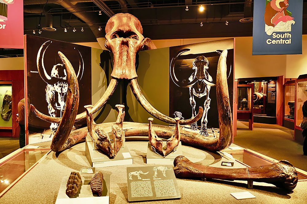 antropologische museum