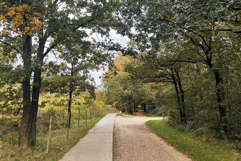 Fietspad door herfstbos