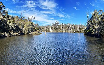 Wandelen en wijnproeven in het Australische Margaret River