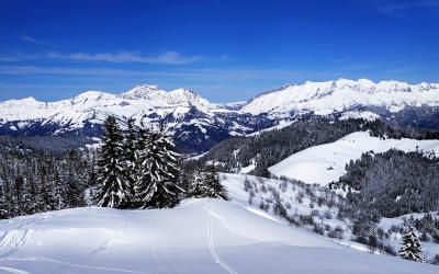 Les Saisies, sfeervol wintersportdorp in skigebied Espace Diamant