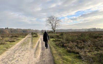 De heide bij Laren en Hilversum, een fijn wandelgebied