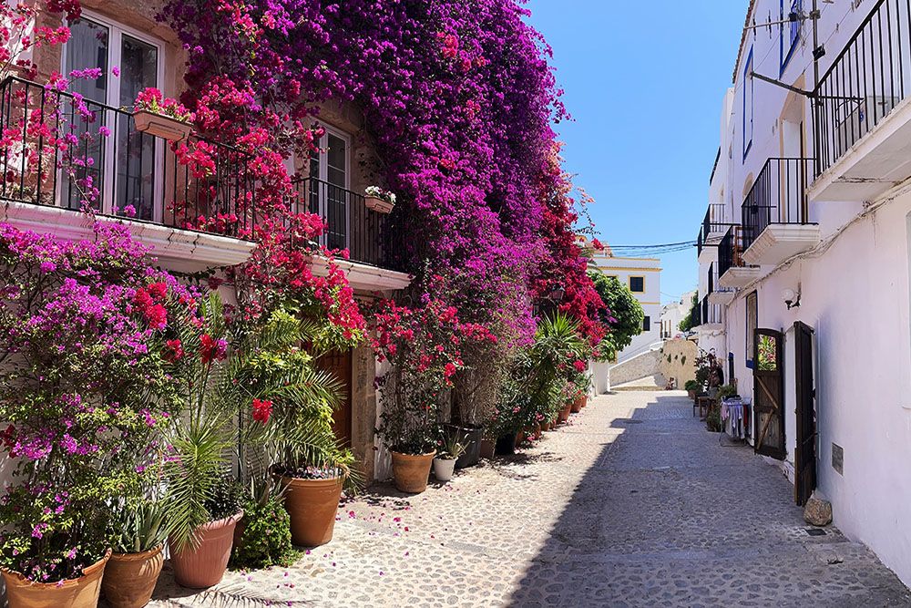 Bloemenzee in Ibiza-stad