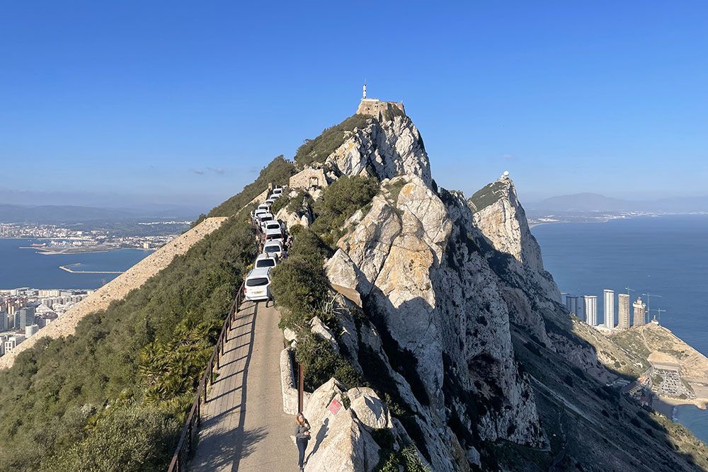 Busjes op de Rots van Gibraltar