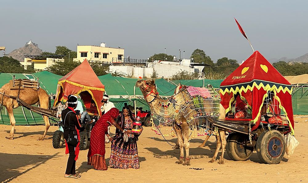 kamelenmarkt van Pushkar - 5