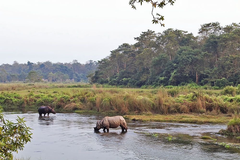 Chitwan