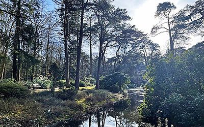 Knopenrondje Driebergen: sprengen, heidetuin en landgoederen