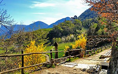 Natuur en cultuur bij Bolzano in Zuid-Tirol