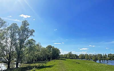 Groene Wissel Ophemert in bloesemrijk West Betuwe