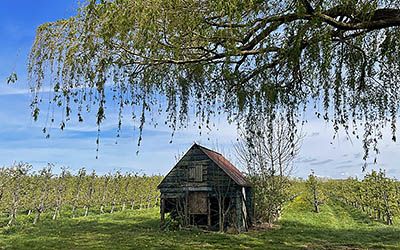 Groene Wissel Kapelle-Biezelinge in de Zeeuwse Betuwe