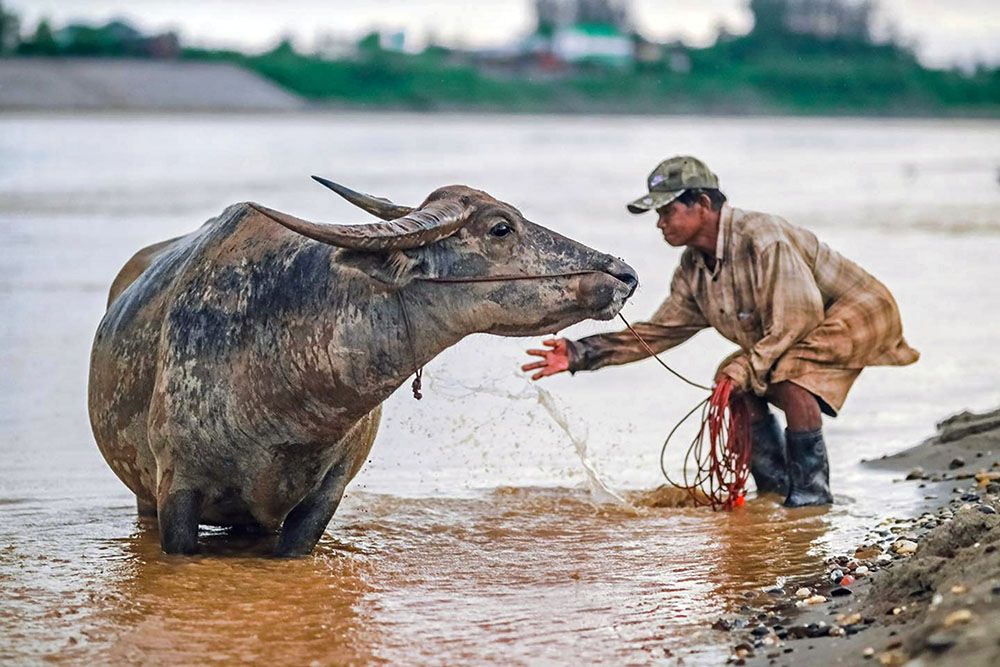 Mekong