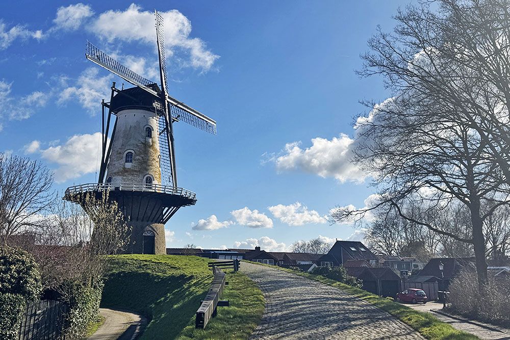 grijsopreis-nederland-highlight-mauritspad-ijzendijke-witte-juffer-mobiel Witte Juffer aan het Mauritspad in IJzendijke