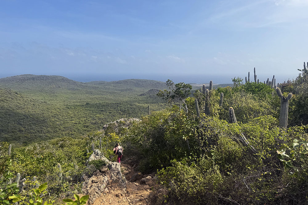 grijsopreis-caribisch-nederland-curacao-highlight-christoffelberg-tijdens-afdaling-mobiel Prille begin