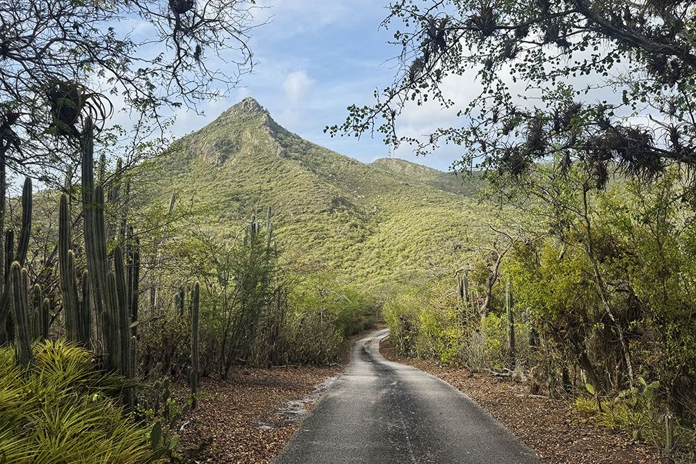 grijsopreis-caribisch-nederland-curacao-highlight-christoffelberg-mobiel Christoffelberg