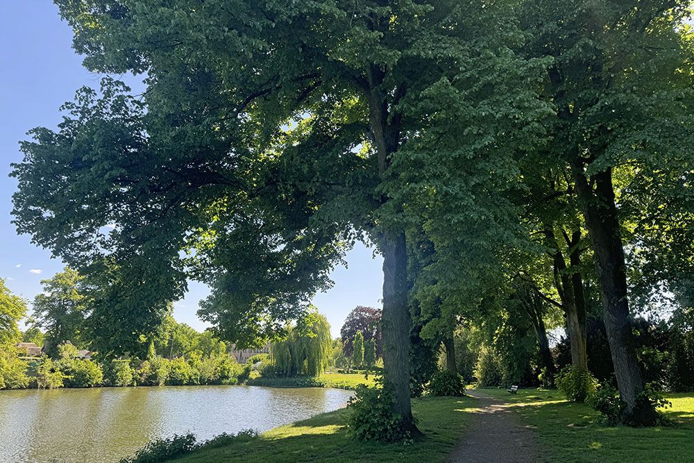 grijsopreis-nederland-highlight-coevorden-park-mobiel Park